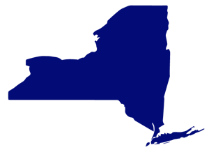 NY State Outline